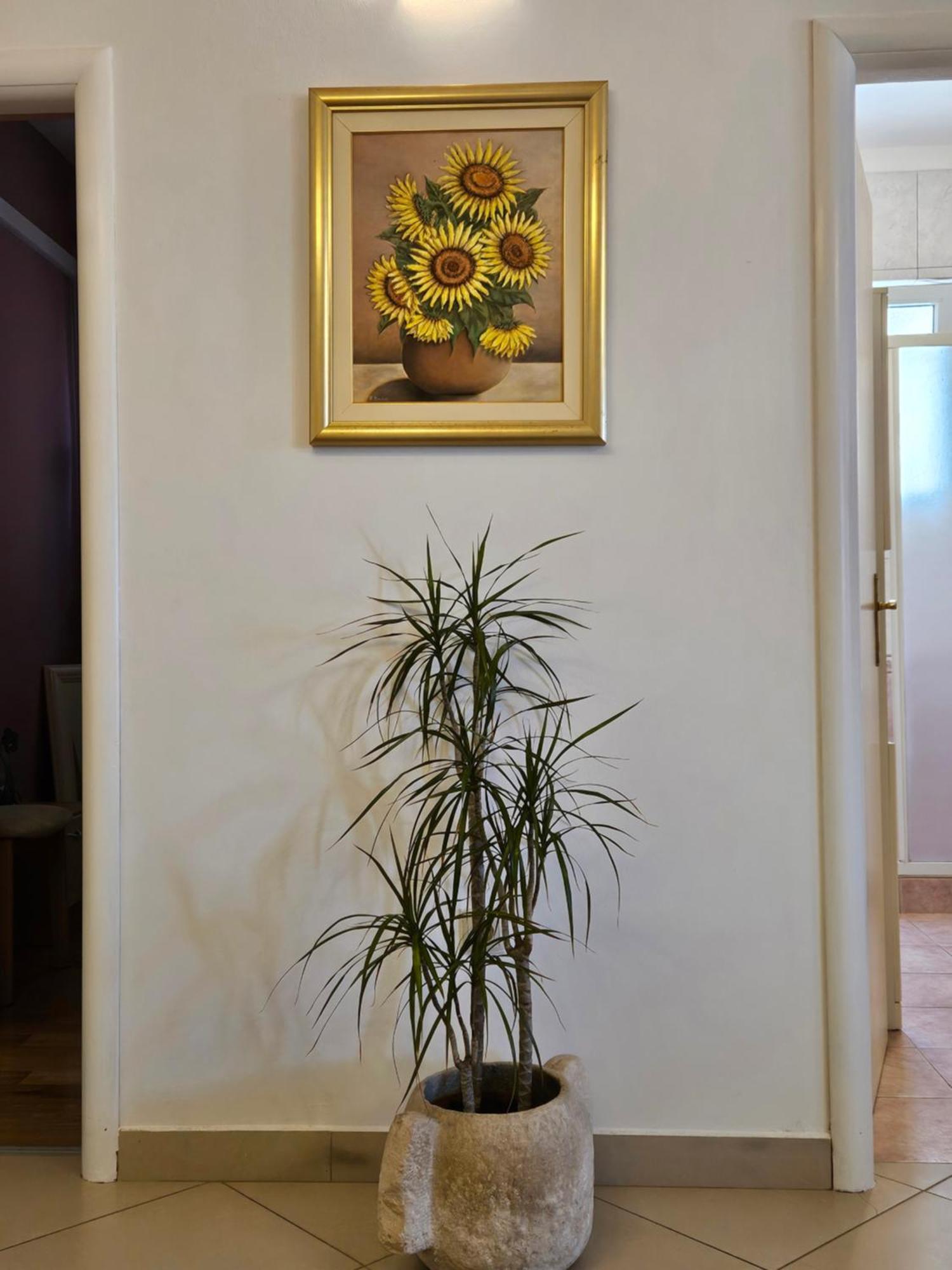 Villa Kety Prigradica Exteriör bild